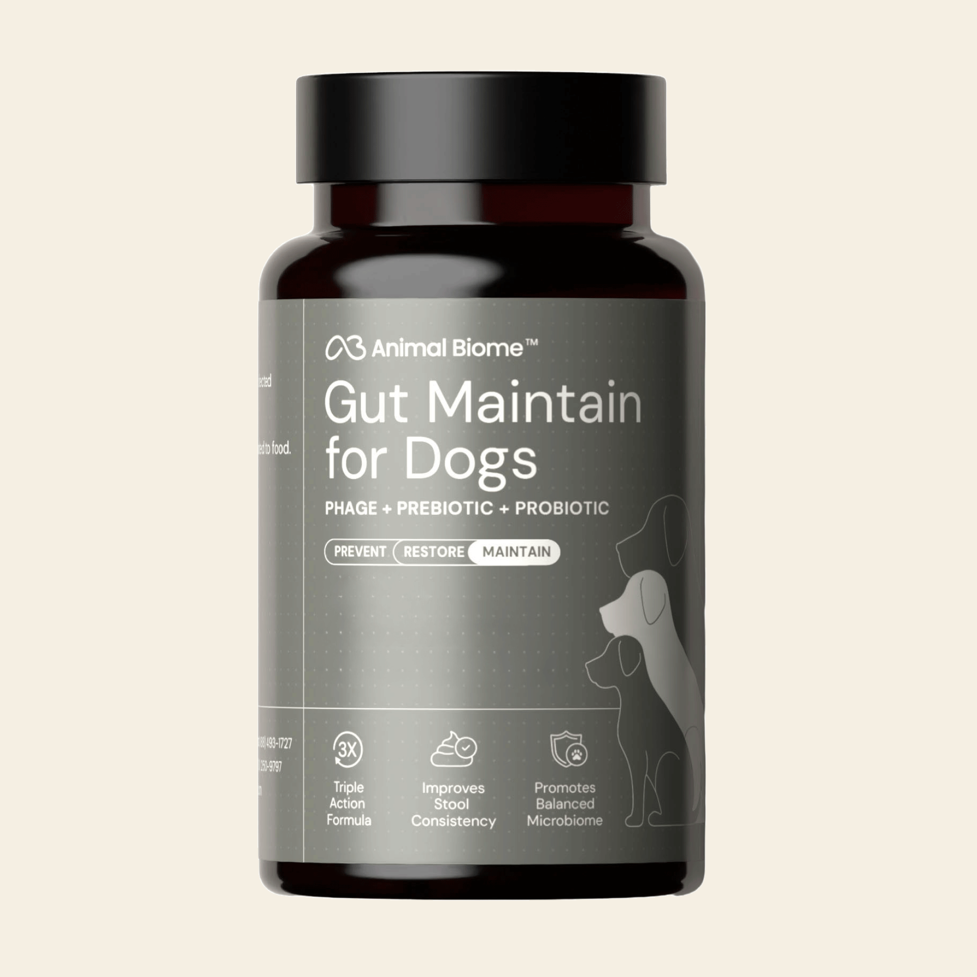 Embark Gut Maintenance Plus Supplement